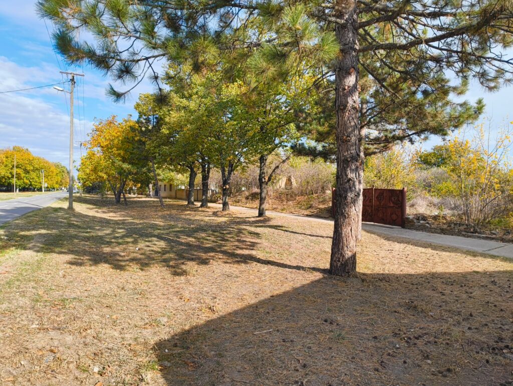 Uspešna radna akcija u Elemiru